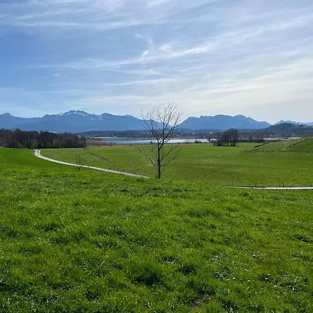 Liebhart *